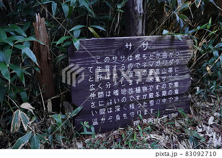 秋の志賀高原　前山湿原から四十八池へ向かう登山道途中にある、付近の自然を解説する説明板 83092710