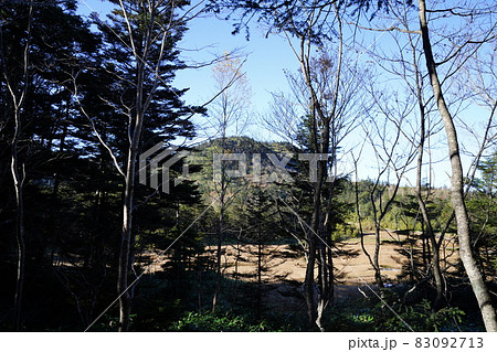 秋の志賀高原　前山湿原から四十八池へ向かう登山道途中から見える四十八池の一部 83092713