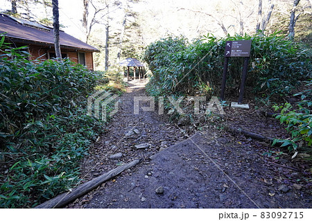 秋の志賀高原 前山湿原から四十八池に到着 右の分岐を進むとぐんま県境稜線トレイルに合流する 秋の志賀高原 前山湿原から四十八池に到着 右の分岐を進むとぐんま県境稜線トレイルに合流する 83092715