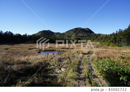 秋の志賀高原　　四十八池湿原の草紅葉と池塘 83092722