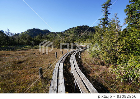 秋の志賀高原 四十八池湿原の草紅葉と池塘 秋の志賀高原 四十八池湿原の草紅葉と池塘 83092856