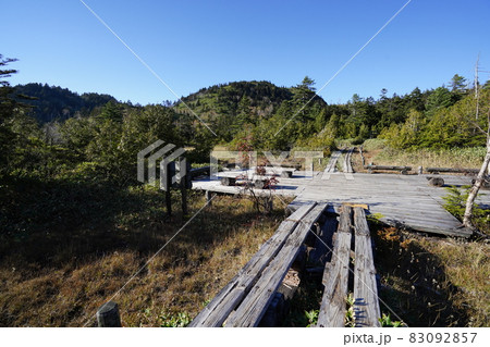 秋の志賀高原　　四十八池湿原の草紅葉と池塘 83092857
