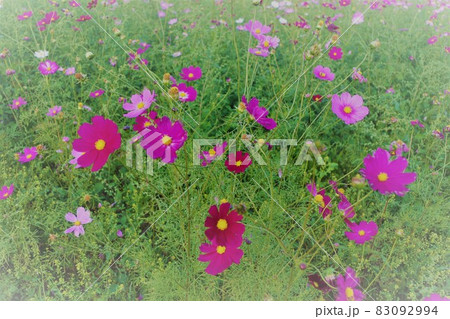 さぁ～みんなでピクニックに行こう 83092994