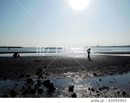 干潟　葛西海浜公園 83093002