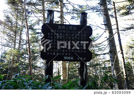 秋の志賀高原 四十八池湿原から硯川に向かう登山道にある、自然の解説案内標識 秋の志賀高原 四十八池湿原から硯川に向かう登山道にある、自然の解説案内標識 83093099