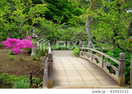 日本庭園 木造の橋 ツツジの花	 83093333