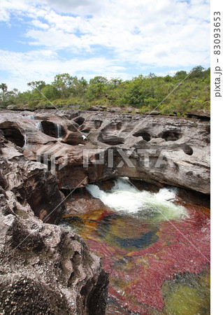 キャノ・クリスタレス(コロンビア) キャノ・クリスタレス(コロンビア) 83093653