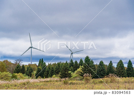 （福島県）ススキたなびく、秋の郡山布引高原風力発電所 83094563