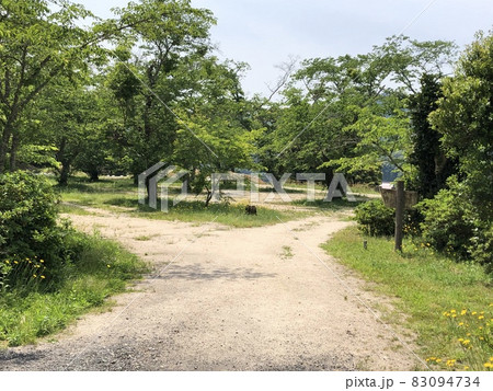 《月山富田城　登山道》（島根県　安芸市） 83094734