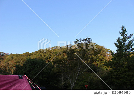 神戸しあわせの村　オートキャンプ　朝　【兵庫県】 83094999