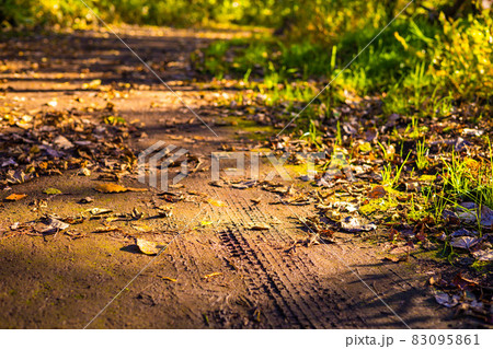 秋の散歩道 せつない田舎の風景の写真素材 [83095861] - PIXTA