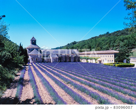 フランス　ゴルド　セナンク修道院とラベンダー 83096007