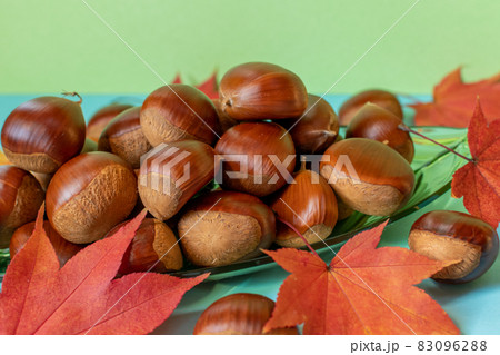 栗_クリ_くり_秋_秋の味覚_栗拾い 栗_クリ_くり_秋_秋の味覚_栗拾い 83096288