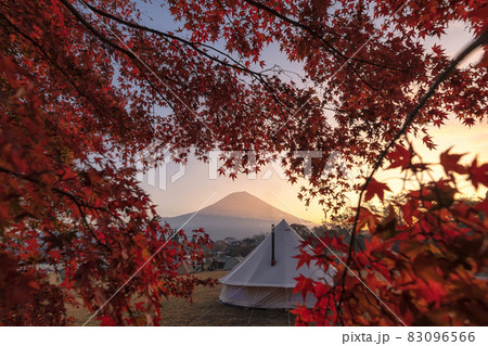 田貫湖キャンプ場の朝 83096566