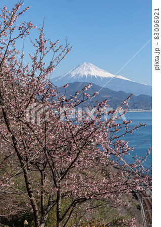 さった峠の桜 83096921