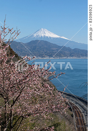 さった峠の桜 83096925