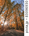 城北公園の秋 83096930