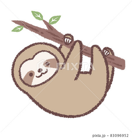 木につかまるナマケモノのイラスト素材