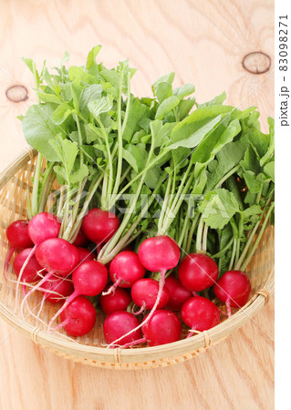 ラディッシュ ラディッシュ 83098271