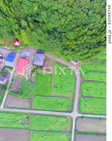 畑作地〜ドローンで空撮（猪苗代湖･西岸／福島県会津若松市湊町大字赤井字屋敷） 83098746