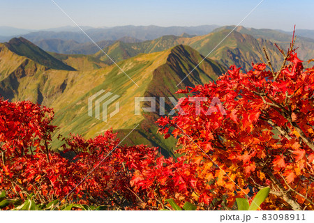 秋の谷川連峰と紅葉 秋の谷川連峰と紅葉 83098911