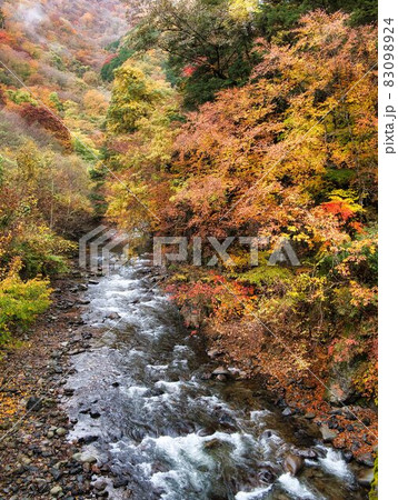 丹波渓谷の紅葉 83098924
