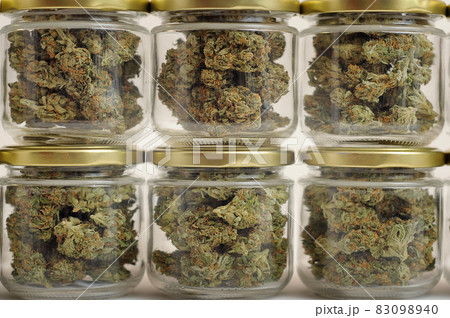 Cannabis drying and curing. Marihuana buds in glass jars 83098940