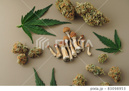 Psychedelic trip, CBD recreation. Micro-dosing concept. Psychedelic trip, CBD recreation. Micro-dosing concept. 83098953