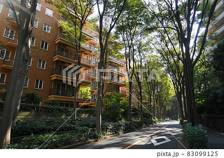 10月　渋谷418広尾ガーデンヒルズ･広尾四丁目 83099125