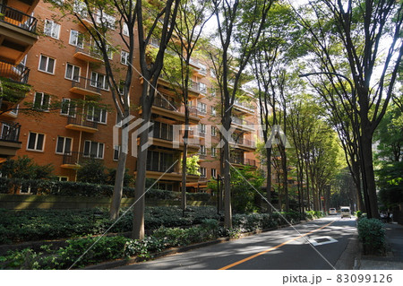 10月 渋谷417広尾ガーデンヒルズ・広尾四丁目 10月 渋谷417広尾ガーデンヒルズ・広尾四丁目 83099126