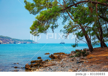Phaselis sea and pine trees relax lanscape Phaselis sea and pine trees relax lanscape 83100693