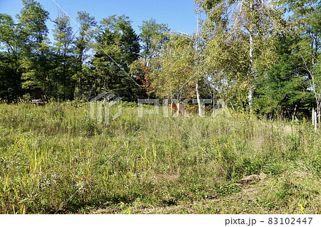 栗沢町立上美流渡小中学校（跡地） 83102447