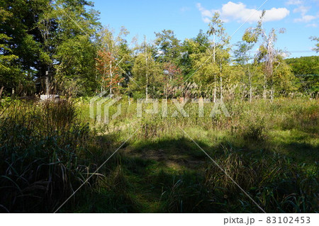 栗沢町立上美流渡小中学校（跡地） 83102453