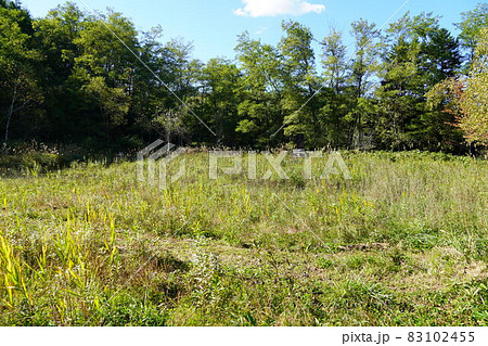 栗沢町立上美流渡小中学校（跡地） 83102455