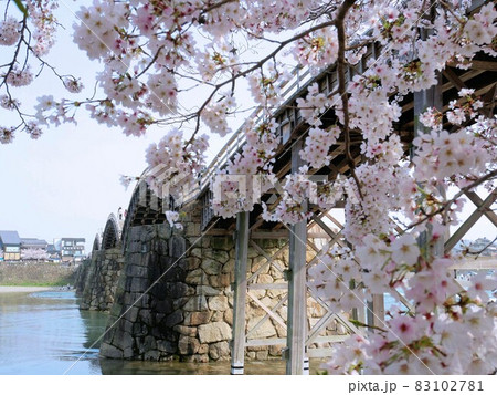 桜の季節の錦帯橋　（山口県岩国市） 83102781