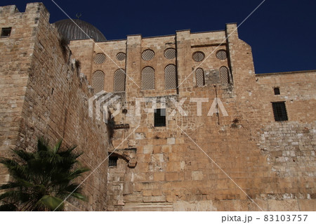 南の壁考古学博物館 83103757