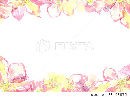 水彩で描いたピンクの花の背景 83103836