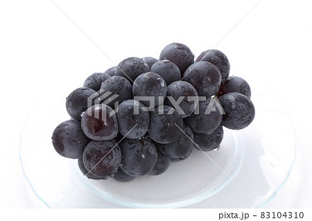 ぶどう 83104310