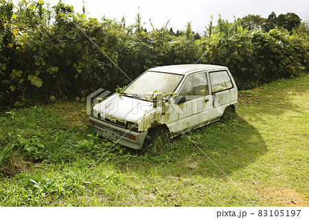 朽ち果てた白い車 83105197