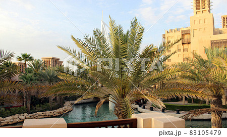 Beautiful view on street in Dubai, United Arab Emirates. Palm tree. Beautiful view on street in Dubai, United Arab Emirates. Palm tree. 83105479