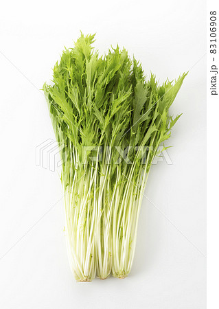 水菜 水菜 83106908