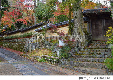 晩秋の京都市右京区嵯峨の祇王寺への道が美しい 83108138