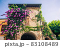 Amazing bouganvilea flowers on a wall of an antique house in Sirmione near lake Garda 83108489