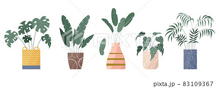Cozy and elegant modern home garden plants in stylish pots. Flat set of hygge houseplants with green leaves like monstera, palm tree, taro, elephant ear, parlor palm. Vector illustration collection. 83109367