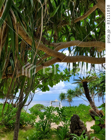 沖縄 石垣島 フサキビーチリゾート ホテル&ヴィラズのビーチウェディング(フラワーアーチ) 沖縄 石垣島 フサキビーチリゾート ホテル&ヴィラズのビーチウェディング(フラワーアーチ) 83111858