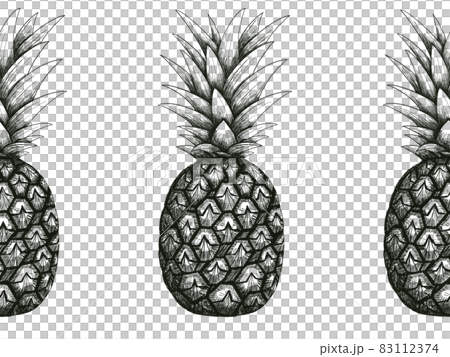 パイナップルのイラスト素材