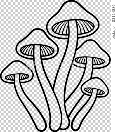 mushroom Sketch for a friend by hilcarilarraza on DeviantArt