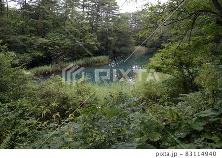 五色沼の景色 色彩が美しい「深泥(みどろ)沼」 五色沼の景色 色彩が美しい「深泥(みどろ)沼」 83114940