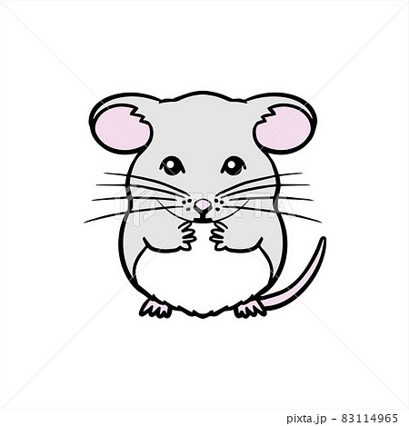 ねずみ・チンチラ　正面　mouse 83114965