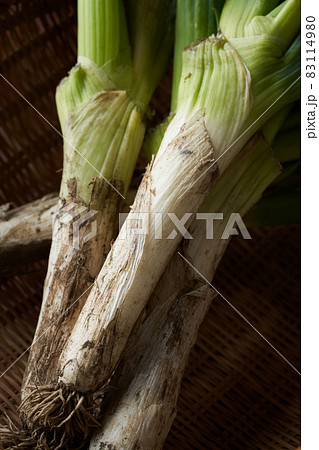 下仁田葱 83114980